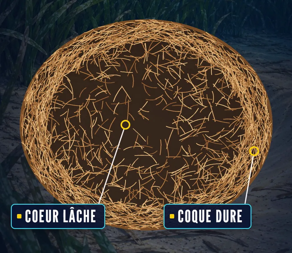 Coupe schématique d’une pelote : un cœur de fibres lâches entouré d’une coque de fibres serrées